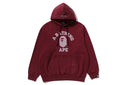 GARMENT DYE COLLEGE PULLOVER HOODIE