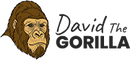 DAVID THE GORILLA